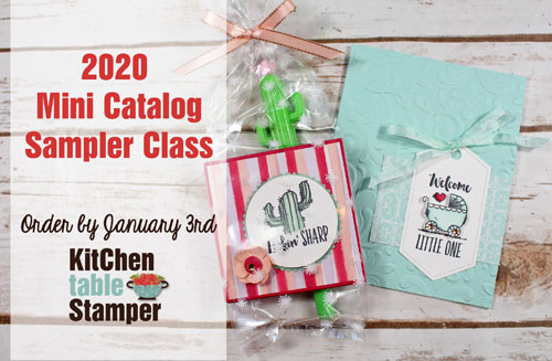 2020 Mini Catalog Product Sampler and Class – Reserve Yours Today!