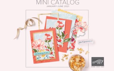 Do you need a January – June Mini Catalog and Sale-a-bration Brochure?