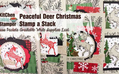 New Stamp a Stack Class Packets are in the Store NOW