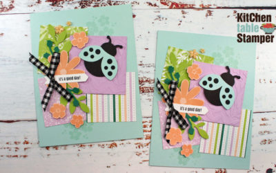 Hello Ladybug Stamp a Stack Video 1 of 3 – It’s a Good Day!